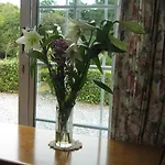 Bed & Breakfast An Bruachan 4*