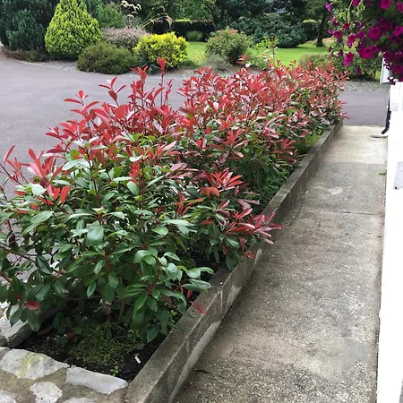 Panzió An Bruachan 4*