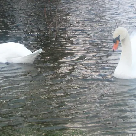 Panzió An Bruachan Kenmare