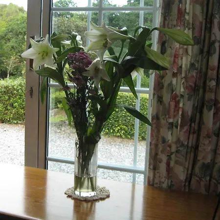 Bed and breakfast An Bruachan 4*