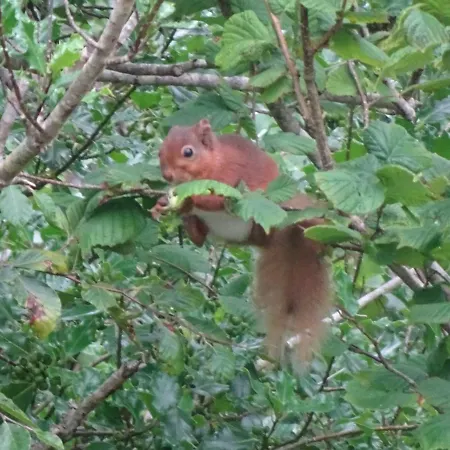 An Bruachan ベッド・アンド・ブレックファスト ケンメア