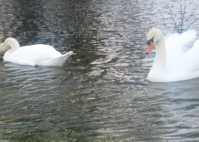 Panzió An Bruachan Kenmare