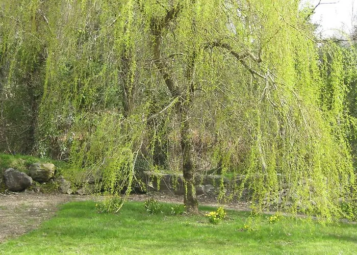 An Bruachan B&B 켄마어