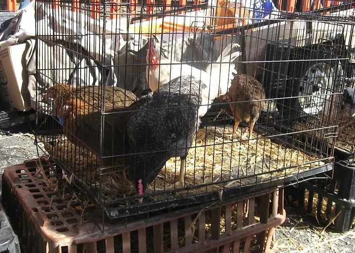 ベッド・アンド・ブレックファスト An Bruachan 4*