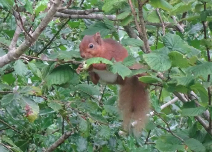 An Bruachan B&B 켄마어