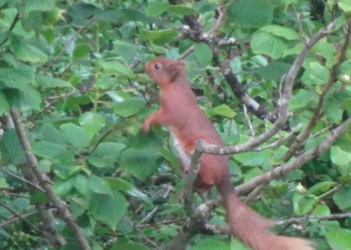 ベッド・アンド・ブレックファスト An Bruachan